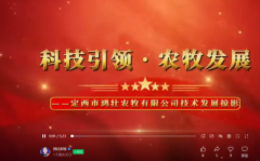 ������졤¤ԭʵ�ɣ�������׳ũ�����Բ�ҵ�������